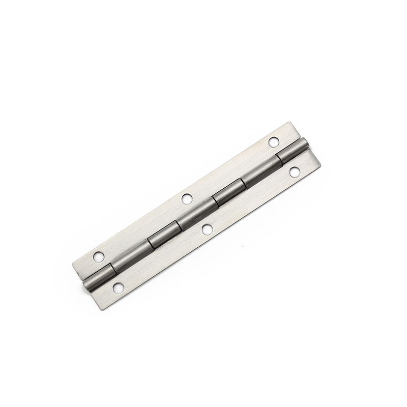 CL253-5S Charnières en acier inoxydable poli nature ouvertes à 180°