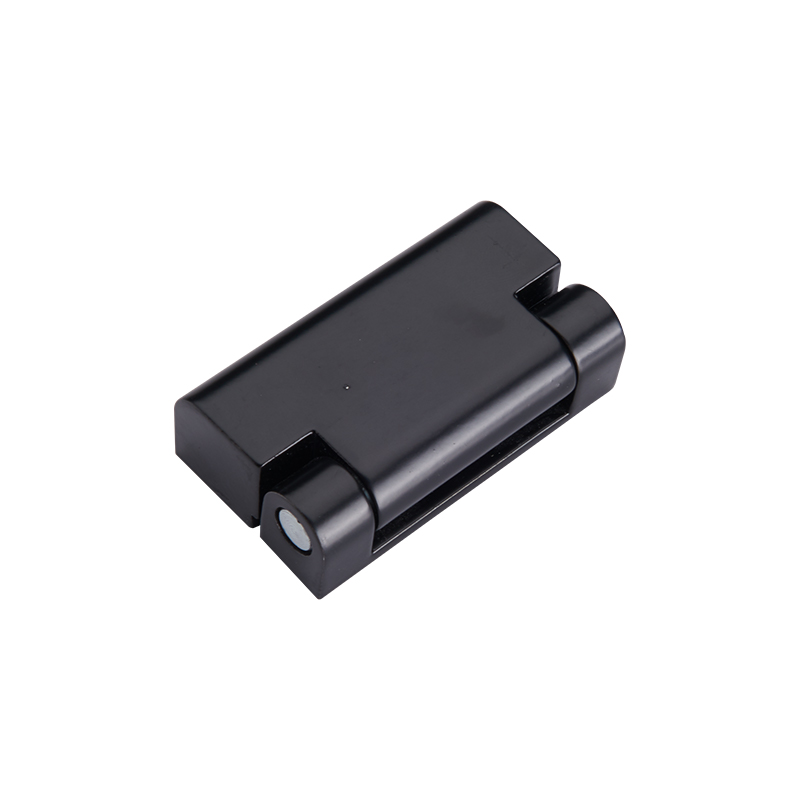 CL219-1S 164g 25lot charnières en acier inoxydable poli brossé avec goupille