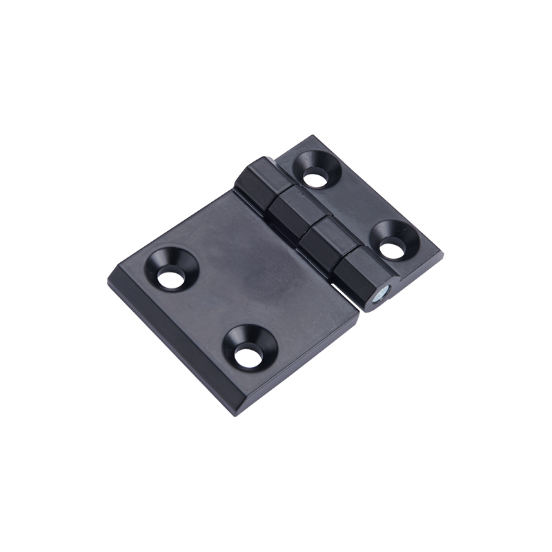 CL233-2-2 Charnière et goupille en acier inoxydable pour électrolyse ou polissage