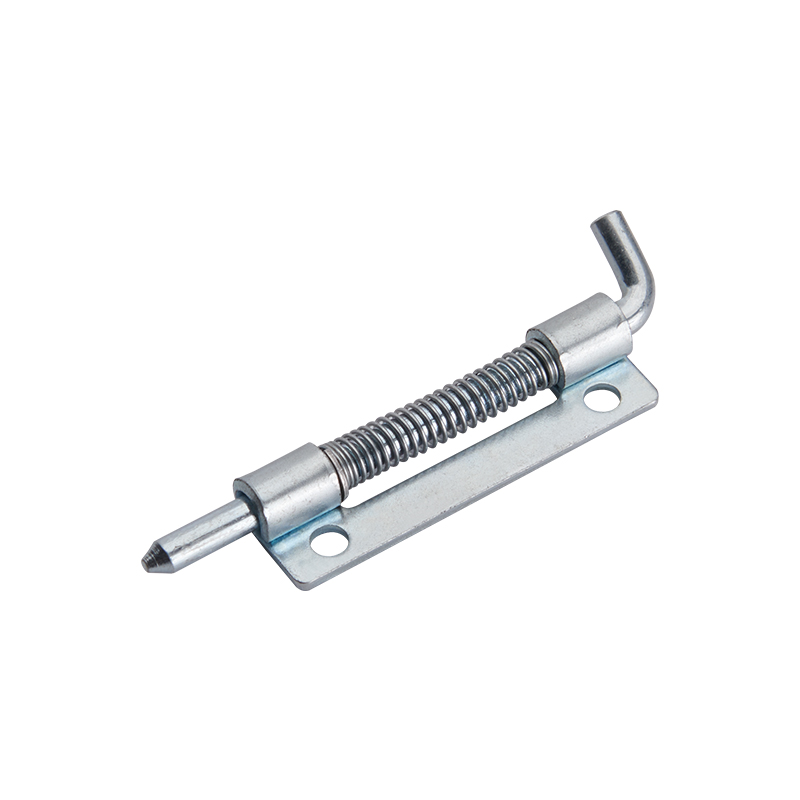 Charnières en acier inoxydable poli à charge statique maximale CL225-3S 430N